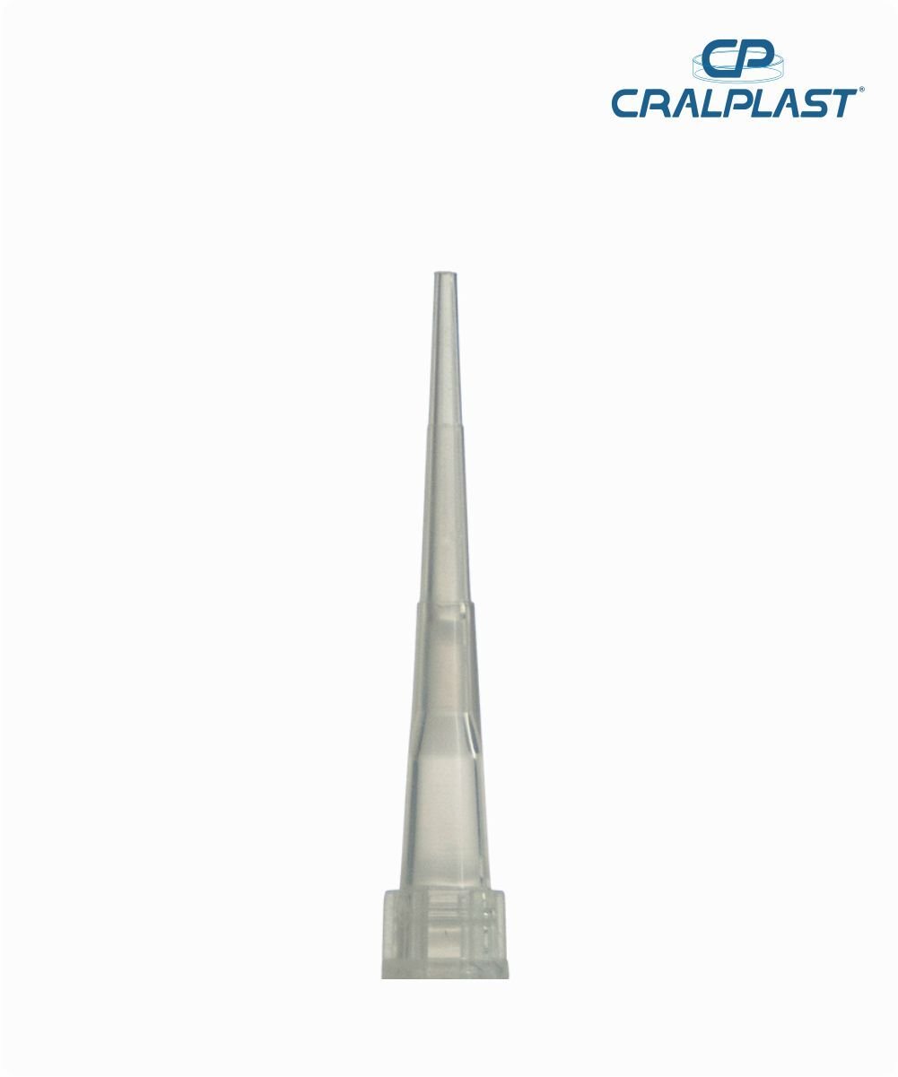 Ponteira tipo Gilson 0,1-10µl